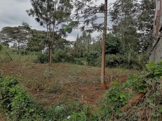 50x100 Plot for Sale, Kiambu - Turitu - 1