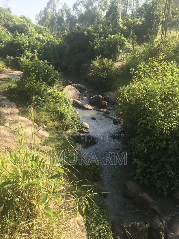 Prime 3.66 Acre Land for Sale - Kakamega/Mumias Road - 1
