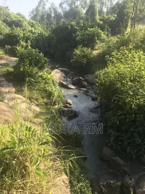 Prime 3.66 Acre Land for Sale - Kakamega/Mumias Road