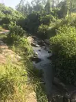 Prime 3.66 Acre Land for Sale - Kakamega/Mumias Road - 1