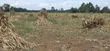 2.5 Acres Commercial Land Touching Highway, Cheptiret Eldoret - 3