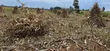 2.5 Acres Commercial Land Touching Highway, Cheptiret Eldoret - 4