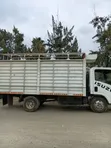 Isuzu NMR 81 (2022) - 6 Tonnes Open Body - 2