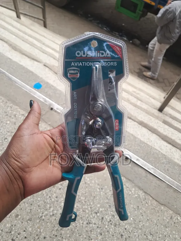 Toolzone 10-Inch Aviation Snips - 1