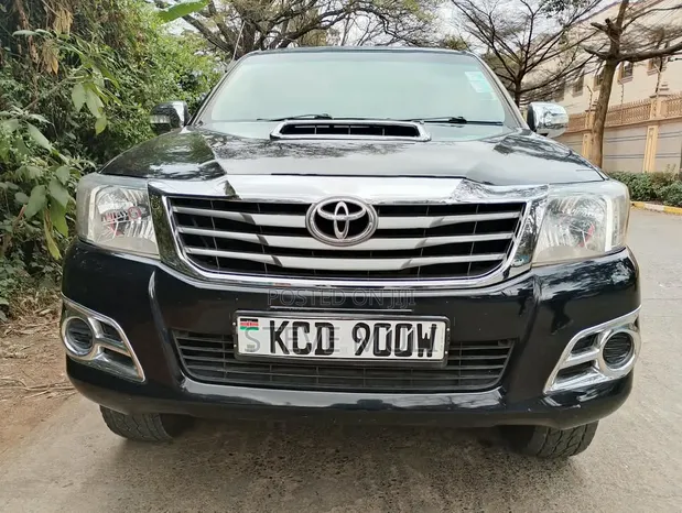 Toyota Hilux 3.0 D-4D Double Cab 2008 - 1