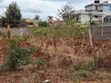 50x100 Residential Plot for Sale in Ngoingwa Estate - 1