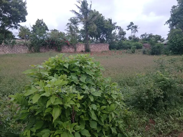 Mtwapa - Kikambala Beach Plot for Sale - 1