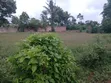 Mtwapa - Kikambala Beach Plot for Sale - 1