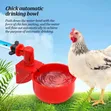 Automatic Poultry Drinkers for Chickens, Ducks, Quails, Pigeons - 1