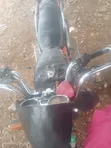 Dayun DY150 Scooter 2020 Black - 4