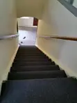 Delta Wall-to-Wall Carpet - 2