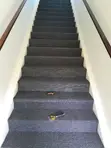 Delta Dark Grey Wall to Wall Carpet - 2