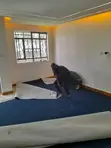 Blue Delta 4mm Thick Flooring Carpet - 2