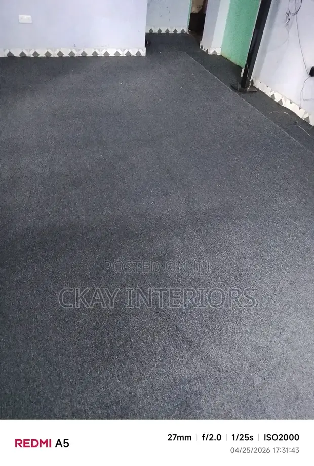 Delta Grey Wall-to-Wall Carpet for Everyday Comfort - 1