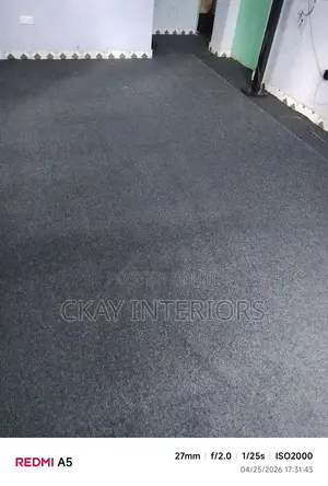 Delta Grey Wall-to-Wall Carpet for Everyday Comfort