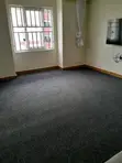 Delta Grey Wall-to-Wall Carpet for Everyday Comfort - 2