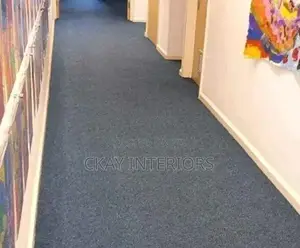 Delta Wall to Wall Carpet - Brand New