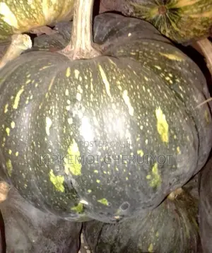 Fresh Ripe Pumpkins