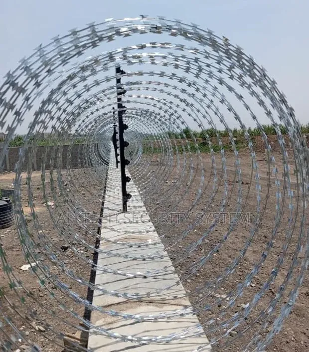 Galvanized Silver Razor Wire (10m) 450mm - 1