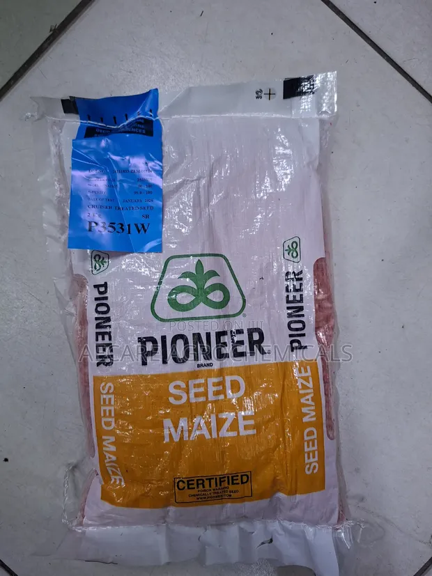 Pioneer Maize Seeds P3531W 2kg - 1