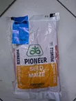 Pioneer Maize Seeds P3531W 2kg - 1