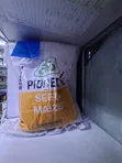 Pioneer Maize Seeds P3531W 2kg - 4