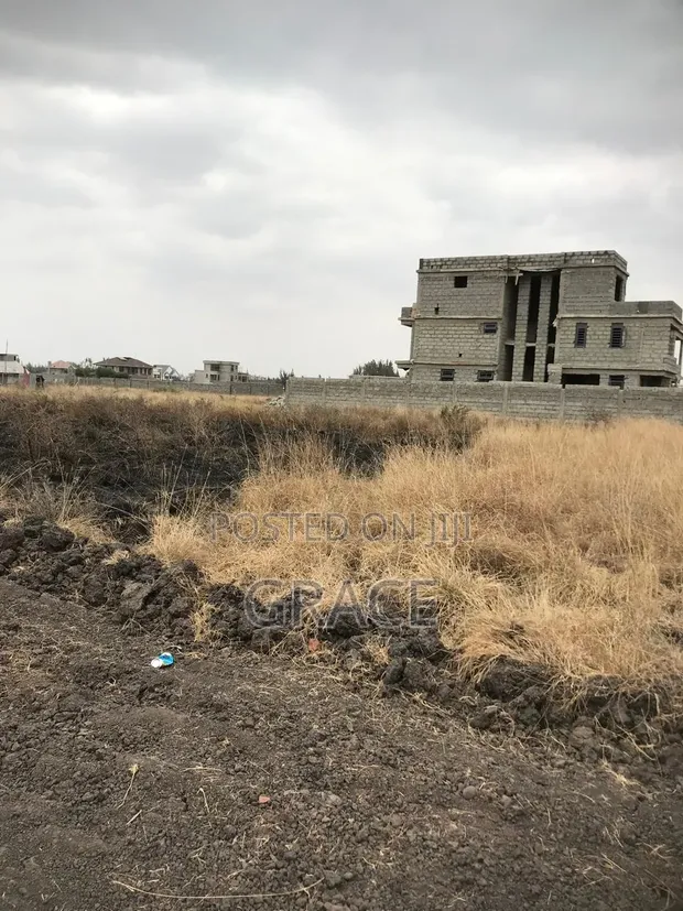 Ruiru Residential Prime Plots for Sale (50x100) - 1
