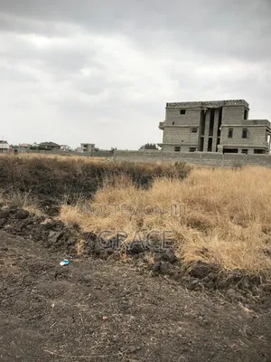 Ruiru Residential Prime Plots for Sale (50x100)