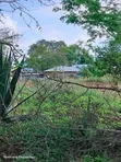 Plots for Sale in Matuu Kaewa Masinga (50x100) - 4