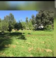 Bungalow ya Vyumba 5 Inauzwa Karibu na Githunguri, Karau - 3