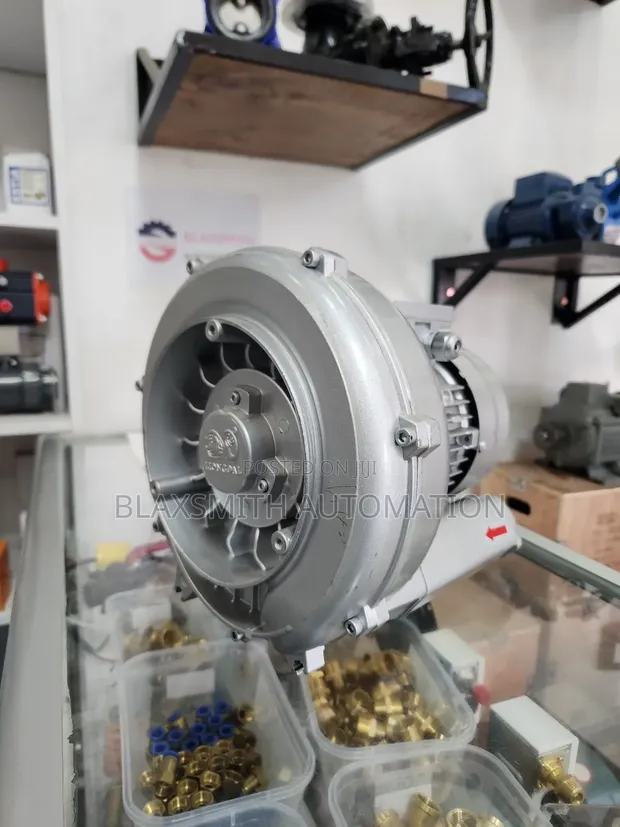 Lion Regenerative Ring Blower 0.4kW/0.5kW, 3-Phase, 2-Pole - 1