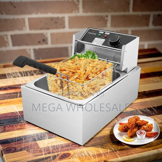 Durable Electric Single Tank Deep Fryers (4L/6L/10L) - 1