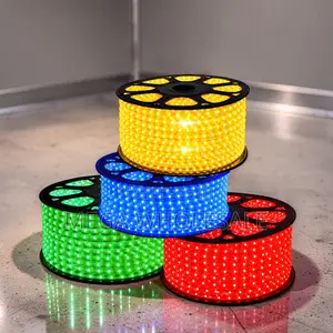 50m Outdoor Snake Light with Connector