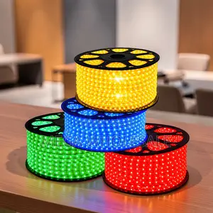 50m Outdoor LED Snake Light with Connector