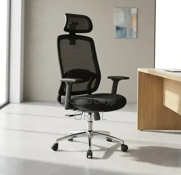 Adjustable Lumbar Support Office Chair - Black - 1