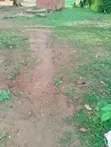 Land for Sale near Busia-Kisumu Highway, Burumba - 2