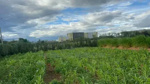 2 Acres Machakos Junction, 200m from Mombasa Road