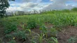 2 Acres Machakos Junction, 200m from Mombasa Road - 2