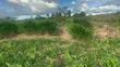 2 Acres Machakos Junction, 200m from Mombasa Road - 3