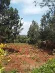 3 Acres Commercial Land for Sale in Kirinyaga County - 1