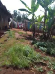 3 Acres Commercial Land for Sale in Kirinyaga County - 2