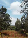 3 Acres Commercial Land for Sale in Kirinyaga County - 3