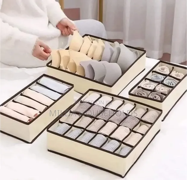 4-in-1 Undergarment Organizer - 1