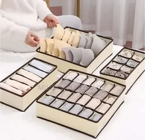 4-in-1 Undergarment Organizer