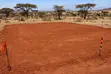 Farmland for Sale in Mboghoni, Taveta - 3