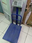 Heavy Duty 300Kg Digital Electronic Platform Scale - 1
