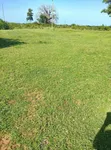 0.25 Acre Plot for Sale in Mtaangani, Malindi - 1