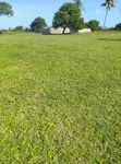 0.25 Acre Plot for Sale in Mtaangani, Malindi - 2
