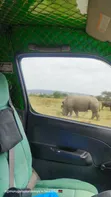 Nakuru & Masai Mara Safari Transfers - 1