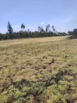 Makutano Project Land for Sale - 2